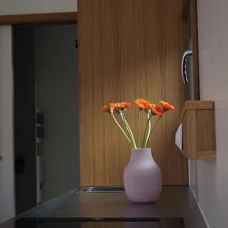 Minimalist Design Mit See- Und Wiesenzugang Semesterbostad Walsrode