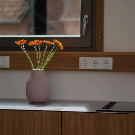 Minimalist Design Mit See- Und Wiesenzugang * Walsrode